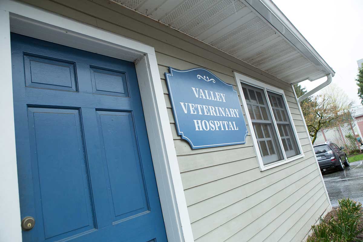 About Valley Veterinary Hospital in Pleasant Valley
