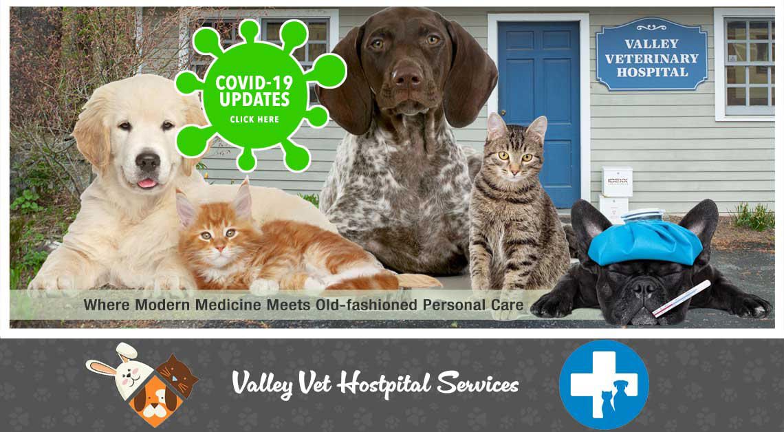 valley veterinary hospital home banner covid 19